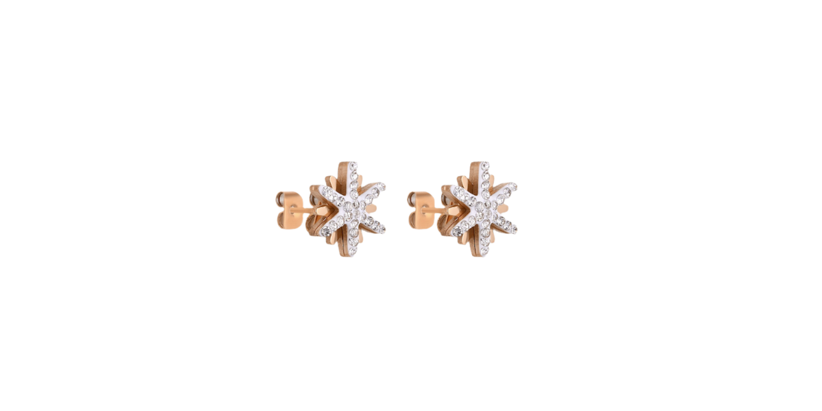 Daniel Klein Women Rose Gold Star Earring